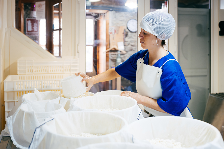 سلسلة التوريد العالمية المتطورة: خبرة محلية في حلول الترشيح المثبتة عالميًا